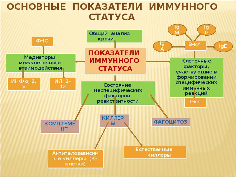 Показатели статуса