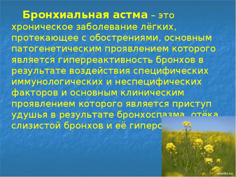 Бронхиальная астма – это хроническое заболевание лёгких, протекающее с обострениями, основным Бронхиальная астма – это хроническое заболевание лёгких, протекающее с обострениями, основным