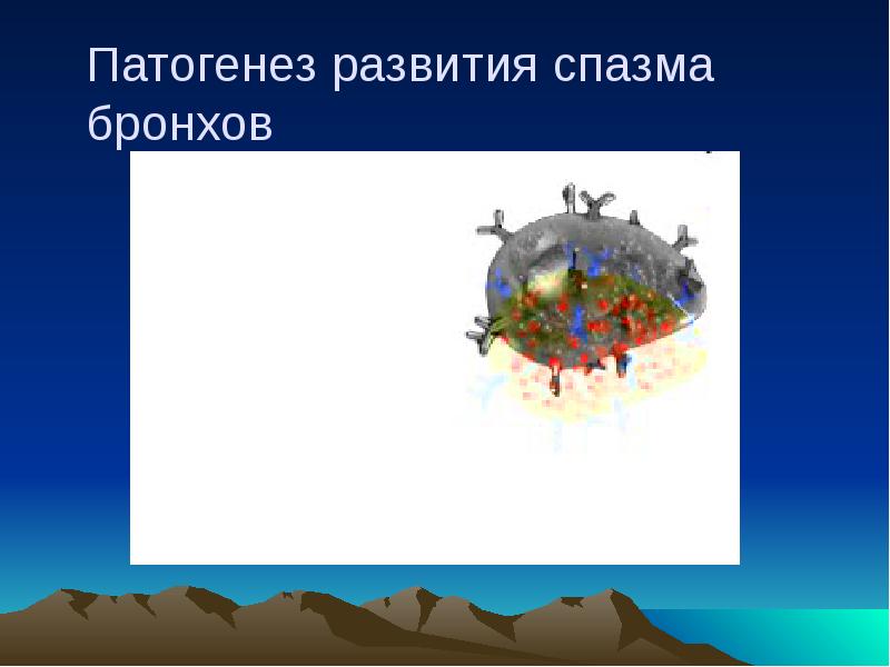 Патогенез развития спазма бронхов Патогенез развития спазма бронхов