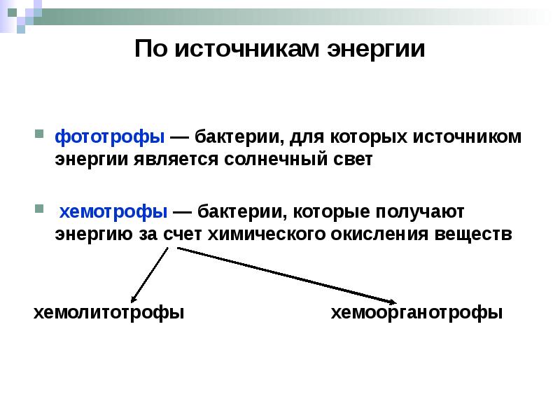 Фототрофы это. Основные способы получения энергии у бактерий фототрофы и хемотрофы. Источник энергии бактерий. Бактерии по источнику энергии. Бактерии хемолитотрофы.