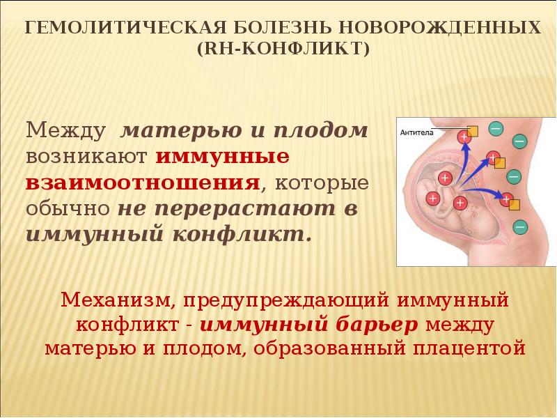 Резус-фактор и гемолитическая болезнь новорожденных. Гемолитическая болезнь плода иммунология. Механизм развития гемолитической болезни новорожденных.