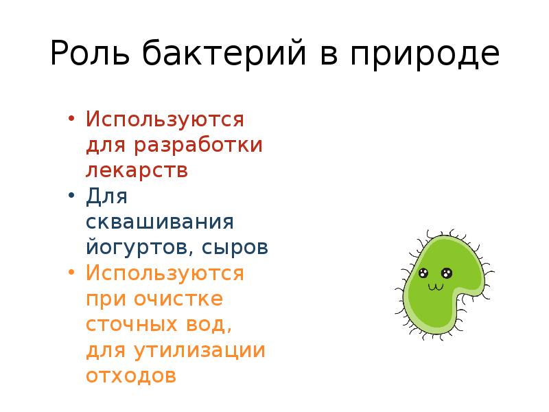Какая положительная роль бактерий