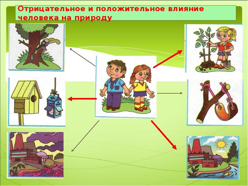 Презентация по окружайке 3 класс