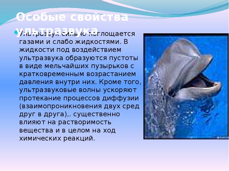 Ультразвук сильно поглощается газами и слабо жидкостями. В жидкости под воздействием Ультразвук сильно поглощается газами и слабо жидкостями. В жидкости под воздействием