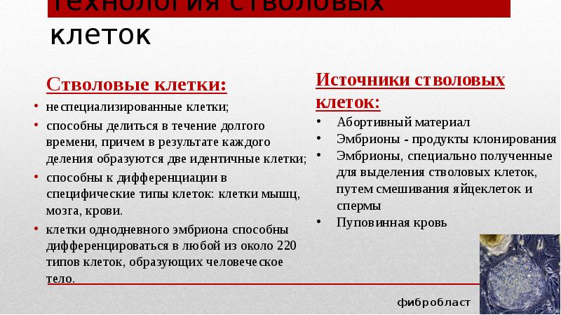 Достижения в области биотехнологии презентация