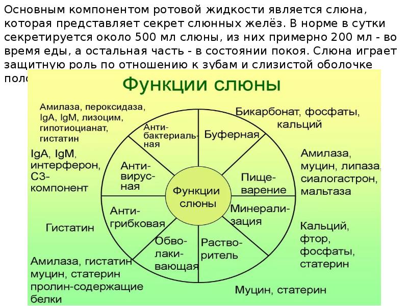 Основное высшее