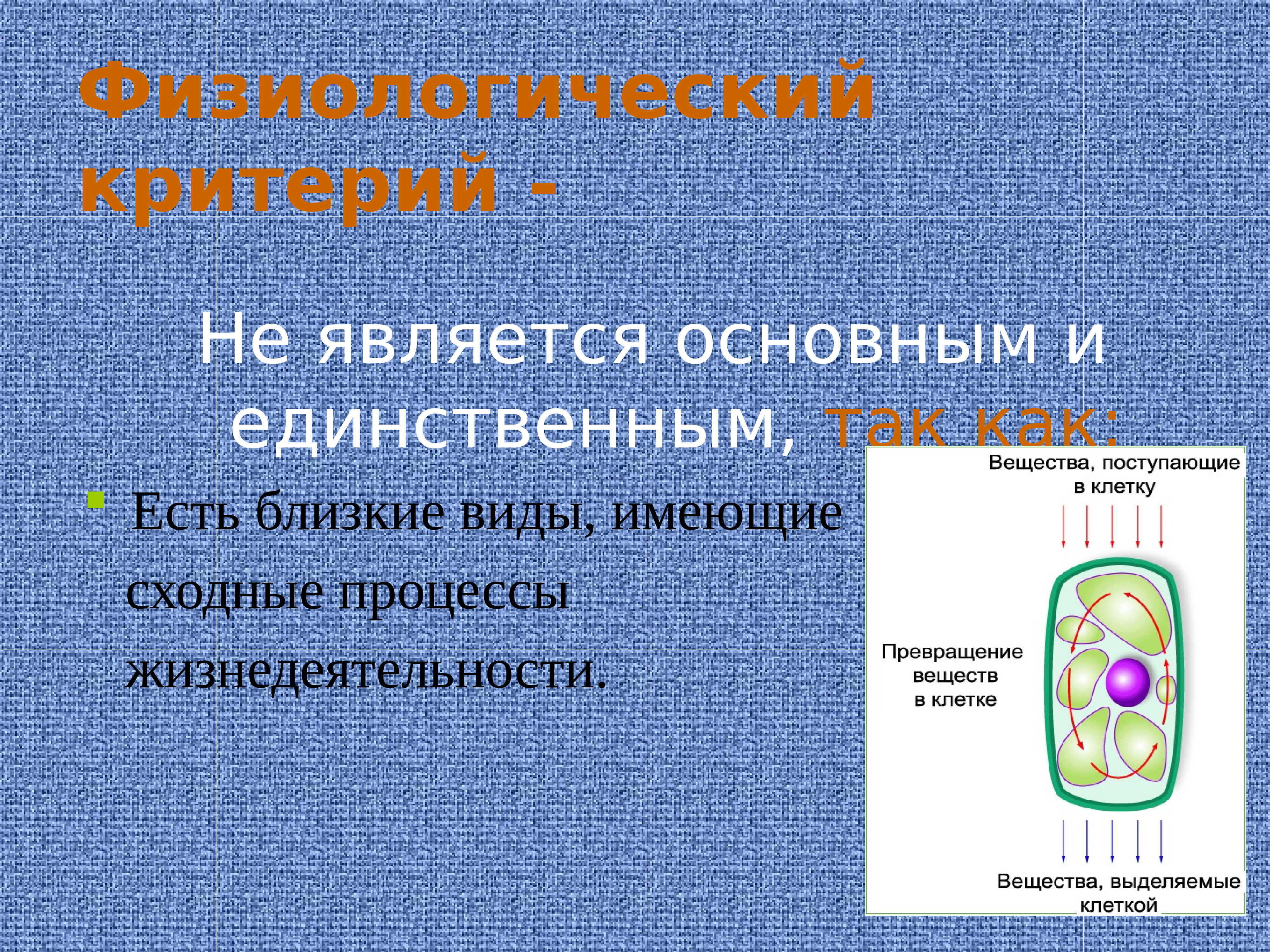 Физиологический критерий. Физиологическим критерием вида является. Физиологический критерий ромашки. Основным критерием вида является. Физиологический критерий у человека.