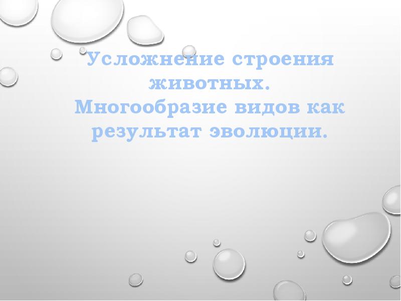 Многообразие видов как результат эволюции презентация