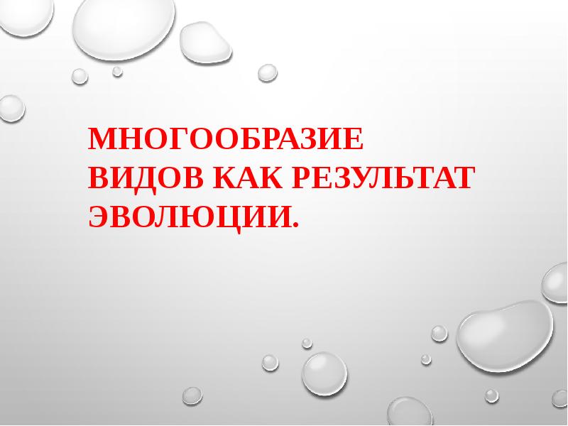 Усложнение строения животных многообразие видов как результат эволюции презентация