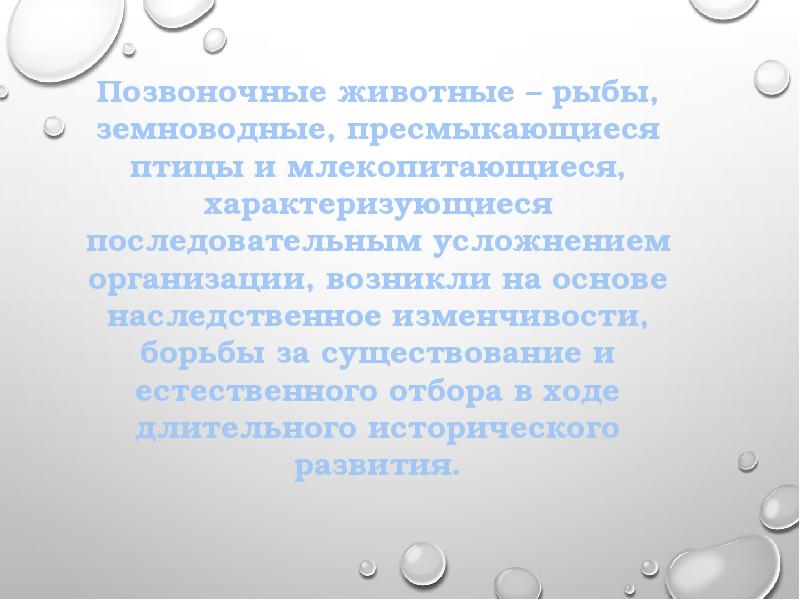 Усложнение строения животных многообразие видов как результат эволюции презентация