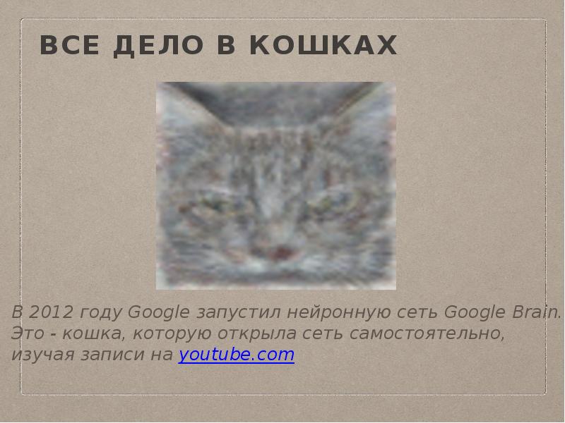 Все дело в кошках Все дело в кошках