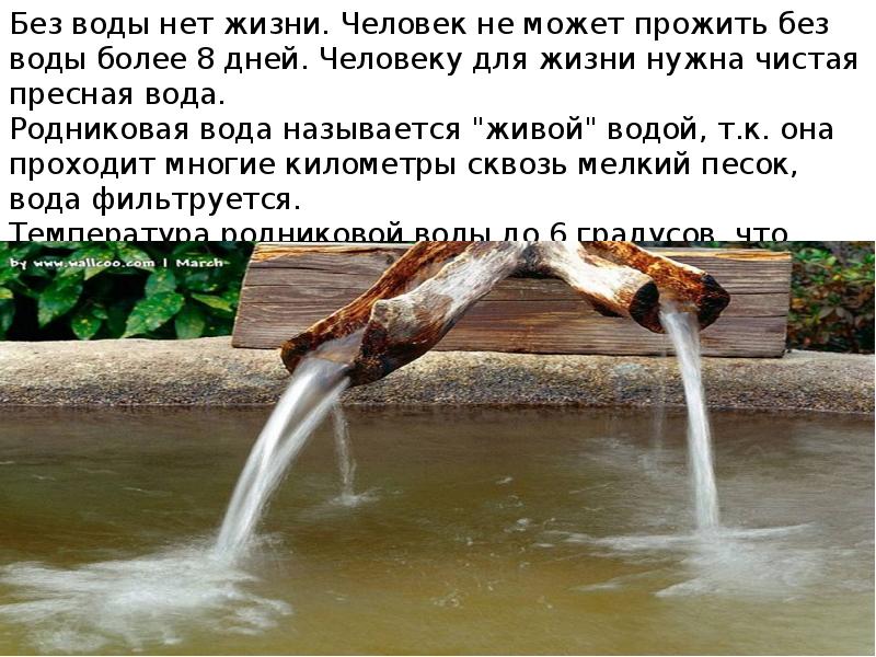 Без воды нет жизни проект