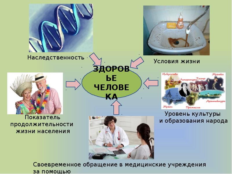 Медицина и гигиена человека презентация