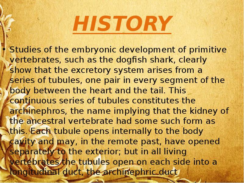 HISTORY
Studies of the embryonic development of primitive vertebrates, such as HISTORY
Studies of the embryonic development of primitive vertebrates, such as