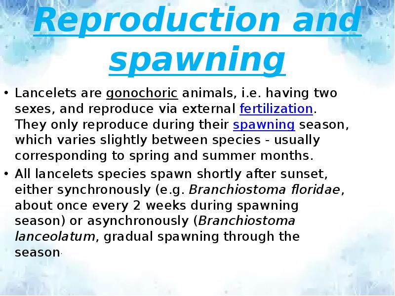 Reproduction and spawning
Lancelets are gonochoric animals, i.e. having two sexes, and Reproduction and spawning
Lancelets are gonochoric animals, i.e. having two sexes, and