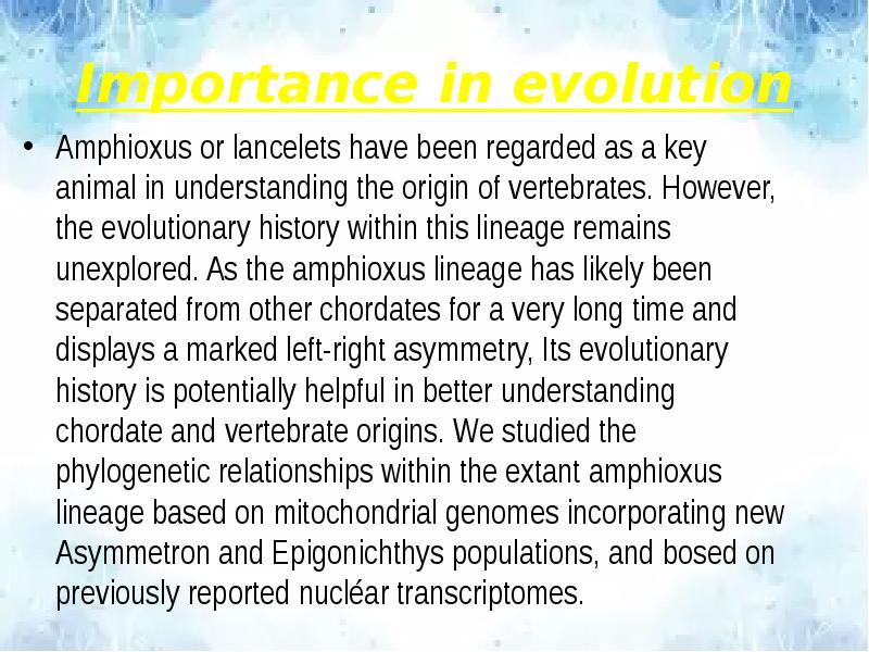 Importance in evolution
Amphioxus or lancelets have been regarded as a Importance in evolution
Amphioxus or lancelets have been regarded as a