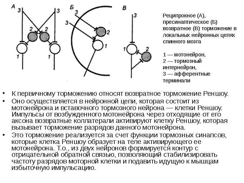 Реципрокное торможение схема