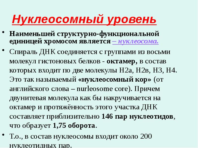 Нуклеосомный уровень Наименьшей структурно-функциональной единицей хромосом является – нуклеосома. Спираль ДНК