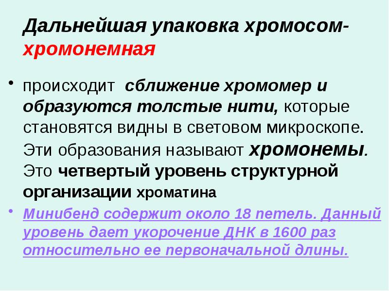 Дальнейшая упаковка хромосом-хромонемная происходит сближение хромомер и образуются толстые нити, которые