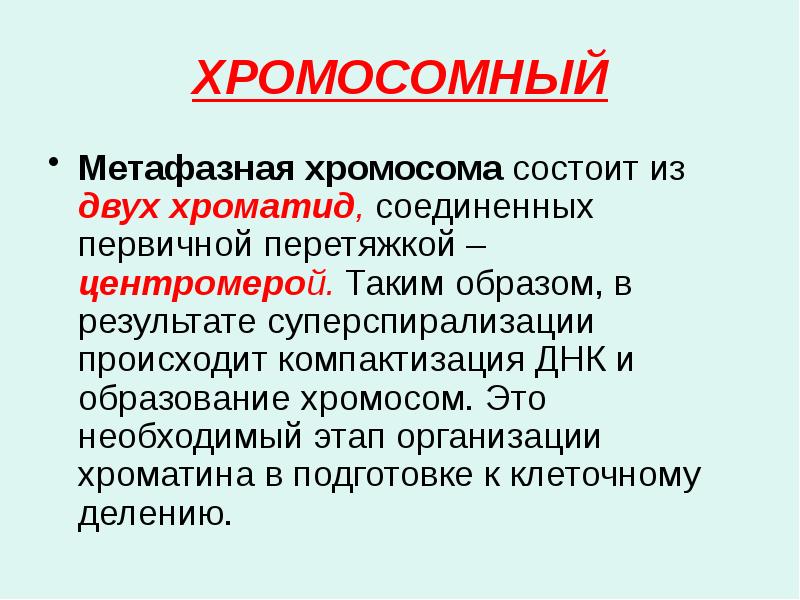 ХРОМОСОМНЫЙ Метафазная хромосома состоит из двух хроматид, соединенных первичной перетяжкой –