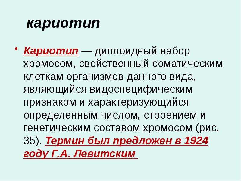 кариотип Кариотип — диплоидный набор хромосом, свойственный соматическим клеткам организмов данного