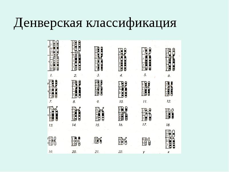 Денверская классификация