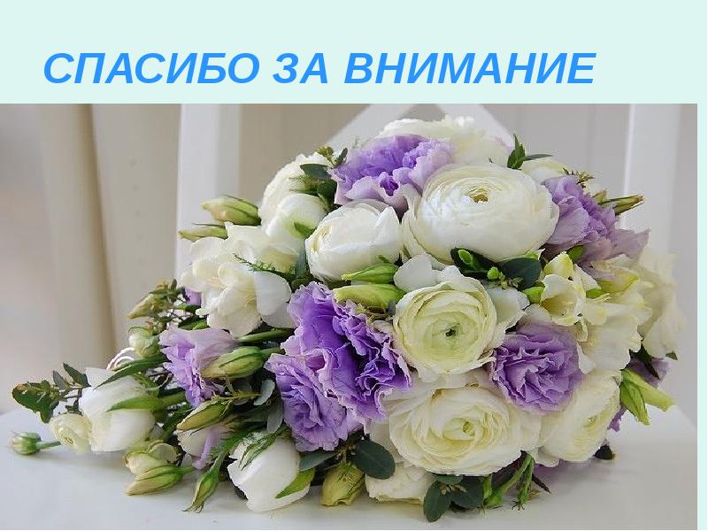 СПАСИБО ЗА ВНИМАНИЕ