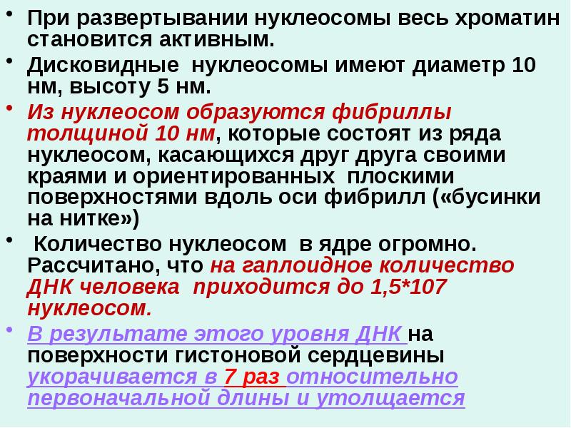 При развертывании нуклеосомы весь хроматин становится активным.  При развертывании нуклеосомы