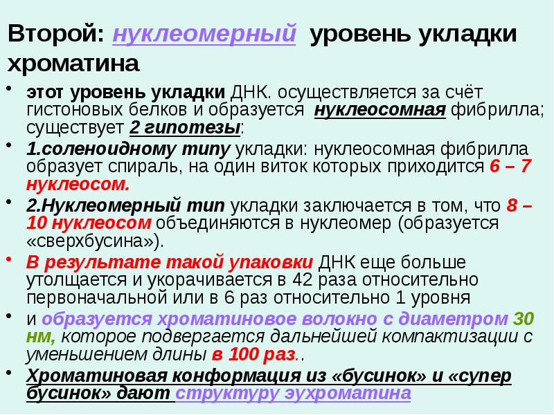 Второй: нуклеомерный уровень укладки хроматина этот уровень укладки ДНК. осуществляется за