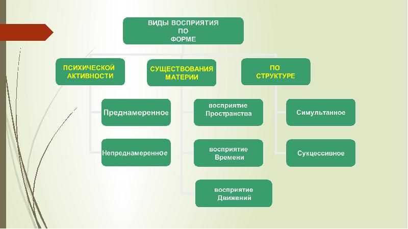 Память мышление речь