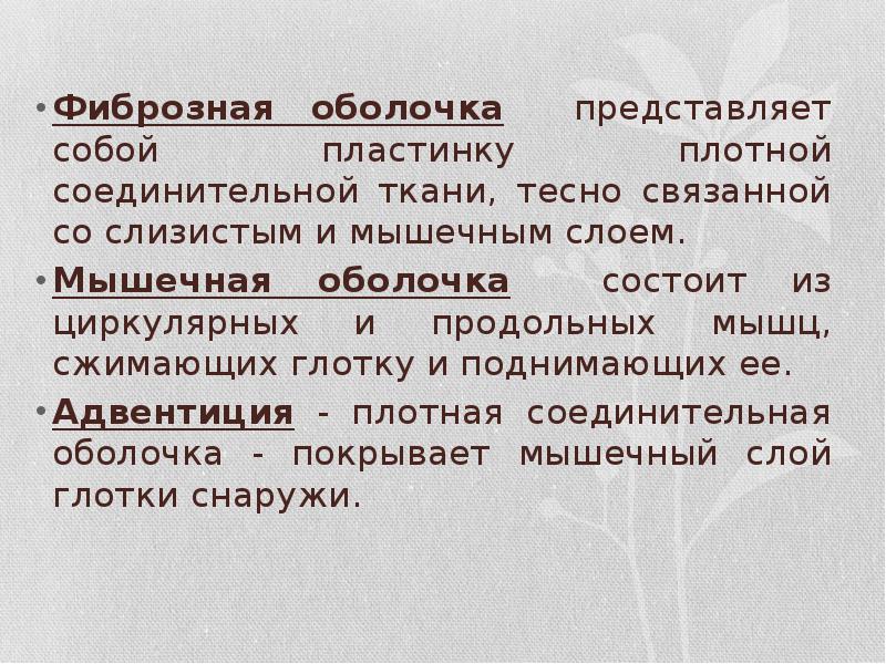 Фиброзная оболочка представляет собой пластинку плотной соединительной ткани, тесно связанной со Фиброзная оболочка представляет собой пластинку плотной соединительной ткани, тесно связанной со
