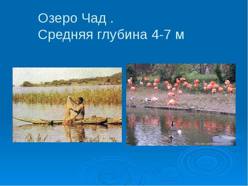 Озеро чад стих. Рыбы озера Чад. Глубина озера Чад. Озеро Чад в Африке описание. География озеро Чад.