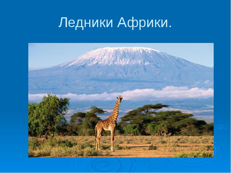 ледники на горе килиманджаро. снега килиманджаро. килиманджаро рисунок.