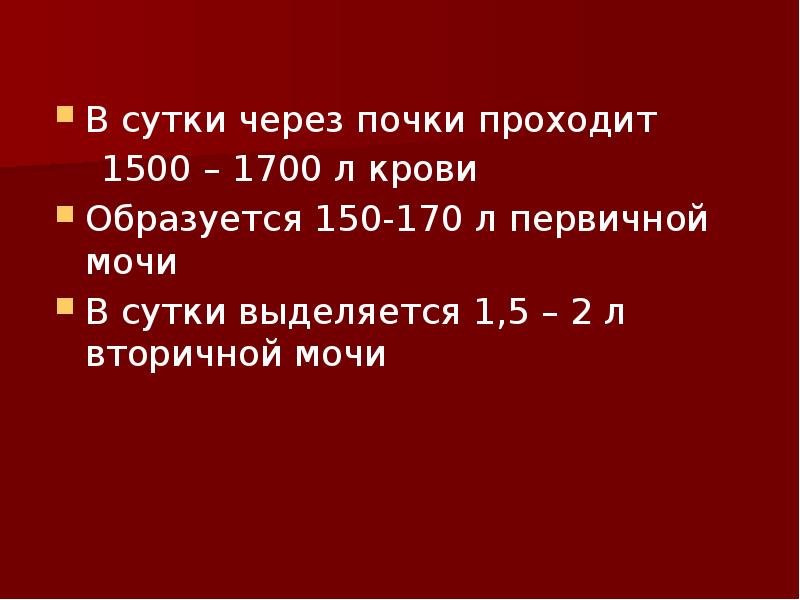 В сутки через почки проходит
В сутки через почки проходит В сутки через почки проходит
В сутки через почки проходит