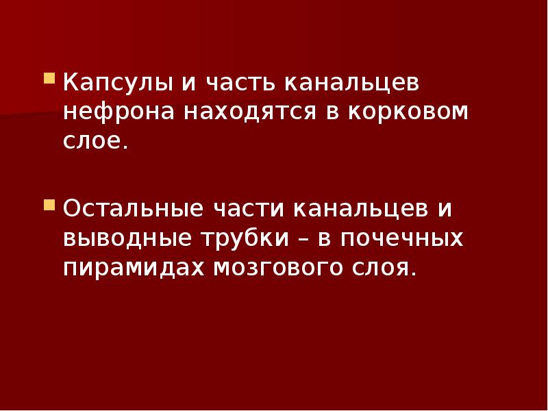 Капсулы и часть канальцев нефрона находятся в корковом слое.
Капсулы и Капсулы и часть канальцев нефрона находятся в корковом слое.
Капсулы и