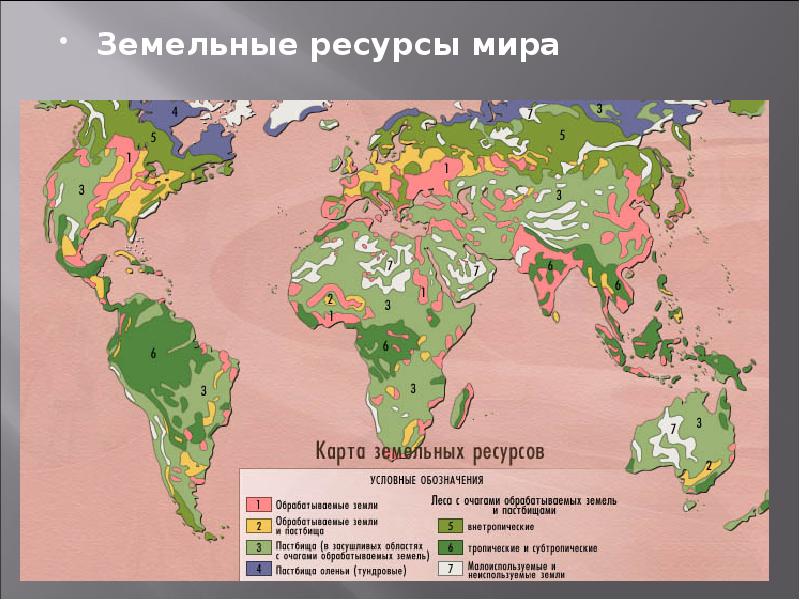 Проблемы использования и воспроизводства полезных ископаемых презентация