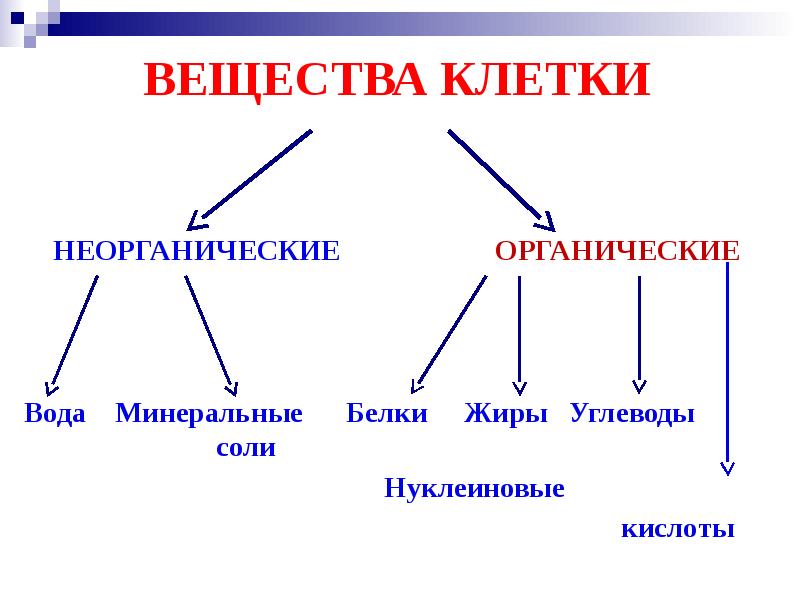 Презентация на тему неорганические вещества