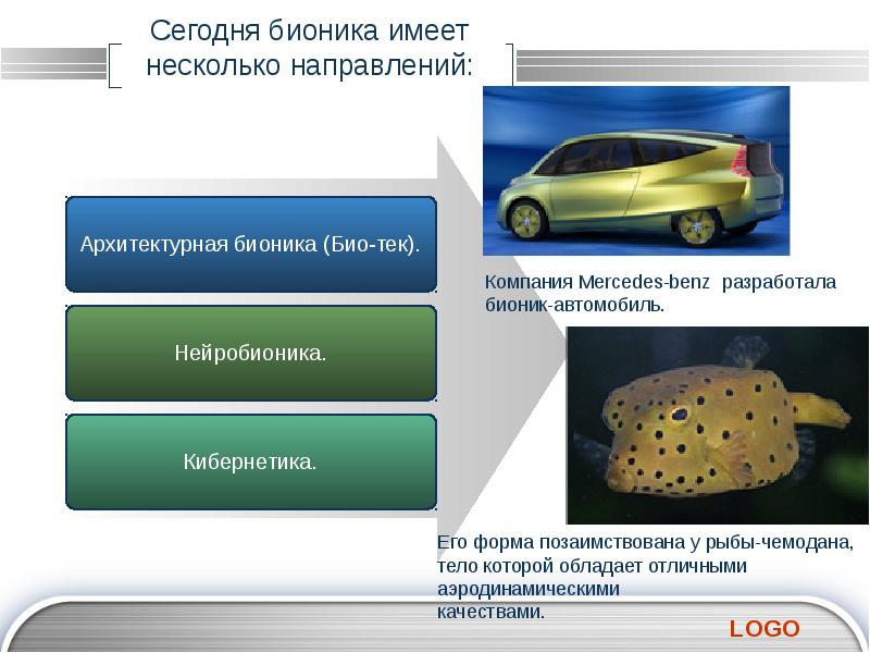 Бионика как одно из направлений биологии и кибернетики презентация