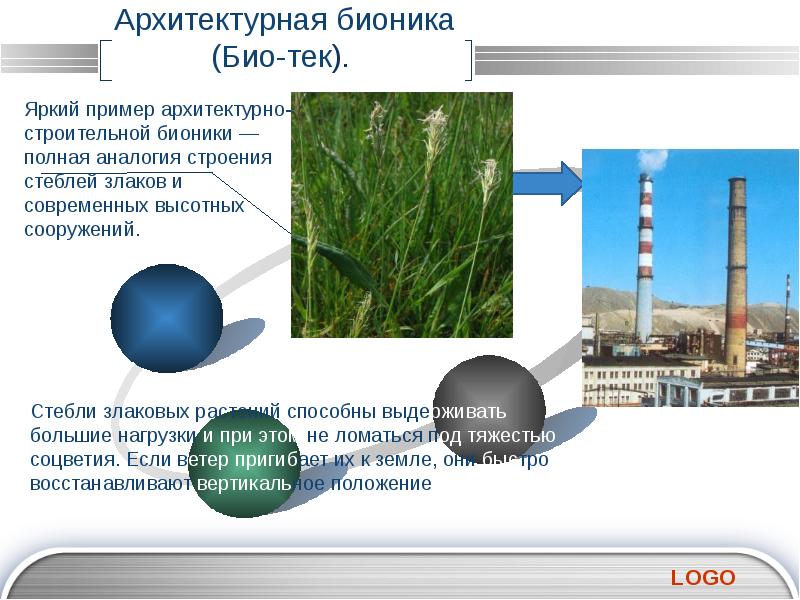 Бионика как одно из направлений биологии и кибернетики презентация