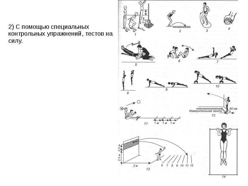 Контрольная тренировка. Контрольные упражнения для оценки силы. Контрольные упражнения (тесты) сила. Упражнения для тестирования силы. Контрольные упражнения для развития силы.