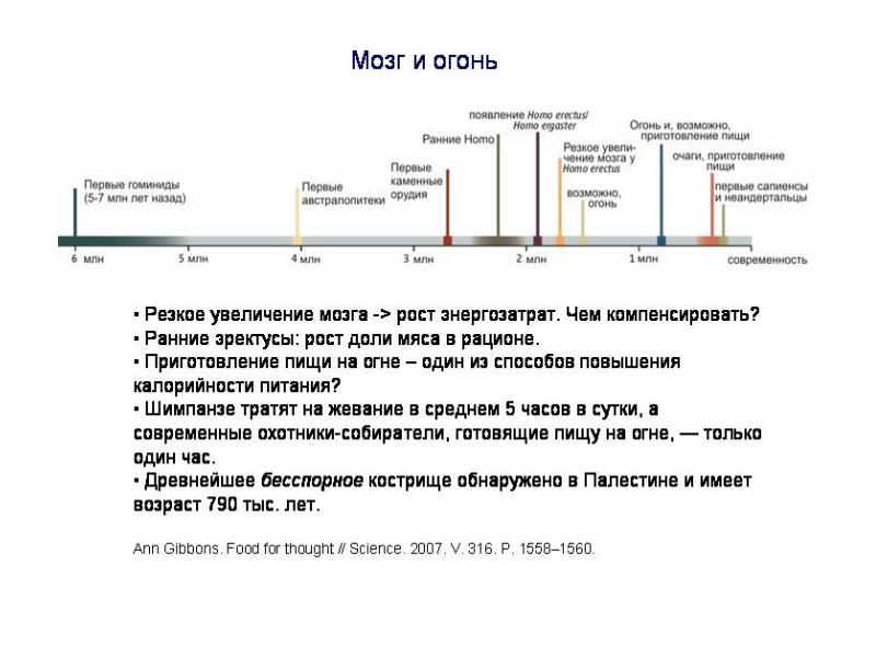 Реферат: Происхождение человека 8