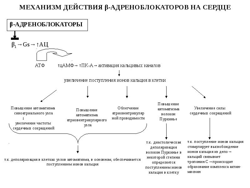 Адреномиметики презентация по фармакологии