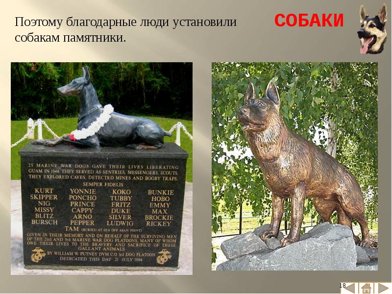 Памятники кошкам и собакам презентация