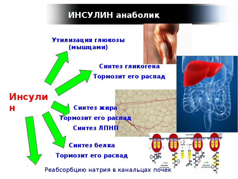 Сахарный диабет презентация для школьников