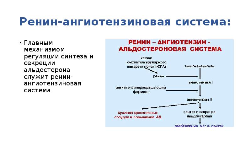 Проекты по биохимии для школьников