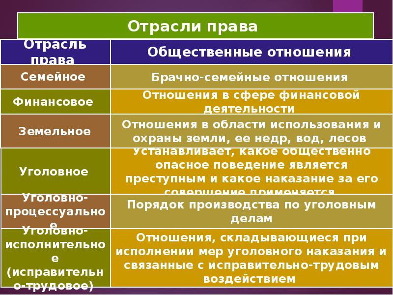 Система российского права презентация 11 класс