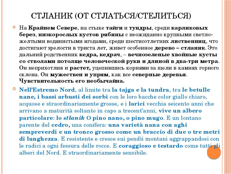 Какую роль играют эпитеты в стихотворении стланик. Образы-символы в стихотворении стланик. Каков символический смысл рассказа Шаламова стланик. Стланик Шаламов анализ стихотворения. Стланик Шаламов эпитеты.