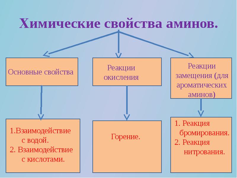 Химические свойства аминов. Химические свойства аммино. Химические реакции Аминов. С чем реагируют Амины.