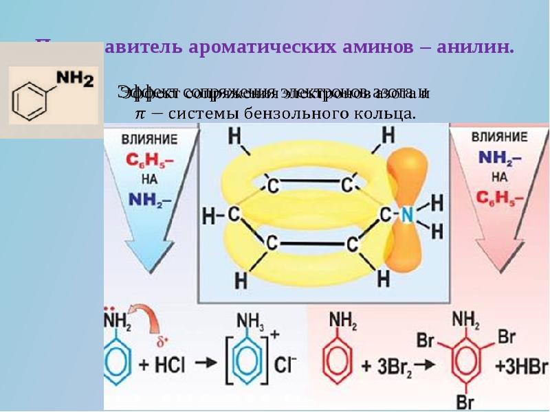 Амины презентация 10 класс углубленный уровень