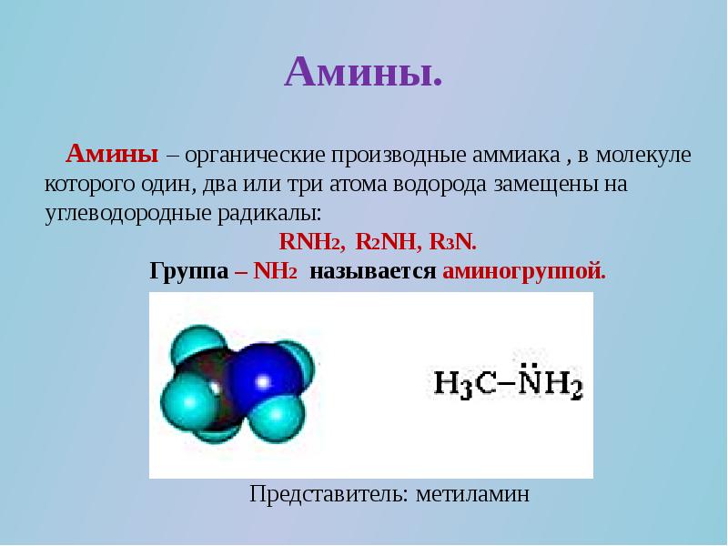 Презентация по теме амины анилин